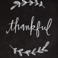 [In the News] Thank Seniors This Thanksgiving